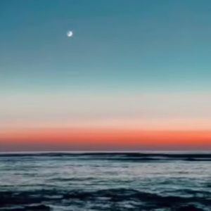 Meet your Posher, Ava